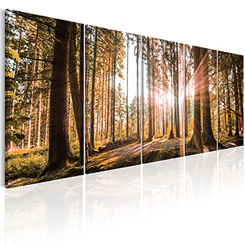 B&D XXL Acrylglasbild Wald 200x80 cm 5 Teilig Wandbild auf Acryl Glasbilder Kunstdruck Moderne Acrylglas Platte Wanddekoration Geschenke Heimdekoration Glasbild - Landschaften Natur Panorama Baume von B&D XXL