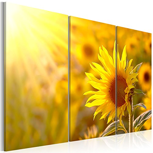 murando Akustikbild Blumen Bilder Akustikschaum Hochleistungsschallabsorber Schallschutz Leinwand 3 tlg Wandbild Raumakustik Schalldämmung 030210-23 von B&D XXL