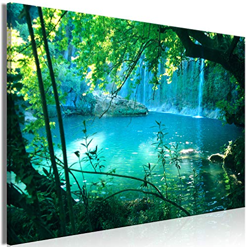 murando Akustikbild Natur Bilder Akustikschaum Hochleistungsschallabsorber Schallschutz Leinwand 1 tlg Wandbild Raumakustik Schalldämmung Wasserfall tropische Landschaft von B&D XXL