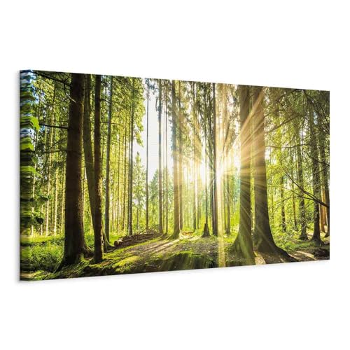 B&D XXL - Akustikbild Wald 120x40 cm 1 tlg Bilder Akustikschaum Schallschutz Kunst Akustikpaneele Wandpaneele Schalldämmung Wandbild Schallabsorber Waldlandschaft Natur Panorama c-B-0077-b-b von B&D XXL