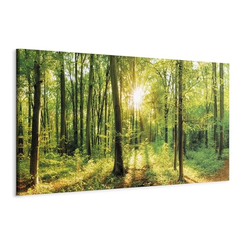 murando - Akustikbild Wald 120x40 cm 1 tlg Bilder Akustikschaum Schallschutz Kunst Akustikpaneele Wandpaneele Schalldämmung Wandbild Schallabsorber Waldlandschaft Natur Panorama c-B-0184-b-a von B&D XXL