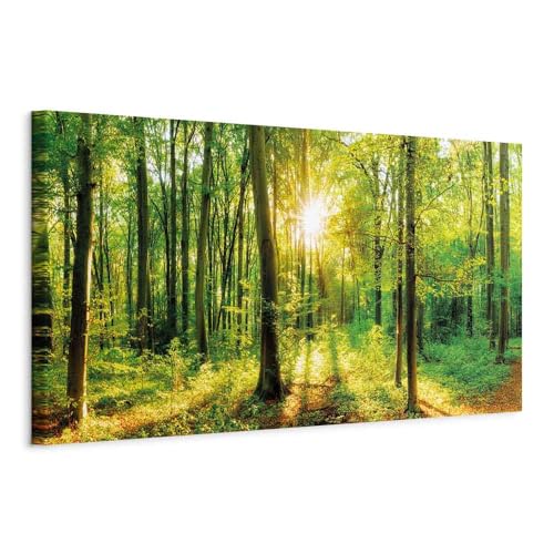 B&D XXL - Akustikbild Wald 150x50 cm 1 tlg Bilder Akustikschaum Schallschutz Kunst Akustikpaneele Wandpaneele Schalldämmung Wandbild Schallabsorber Waldlandschaft Natur Panorama c-B-0184-b-a von B&D XXL