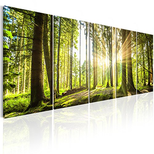 murando - Akustikbild Wald 150x60 cm 5 tlg Bilder Akustikschaum Schallschutz Akustikpaneele Wandpaneele Schalldämmung Wandbild Schallabsorber Akustikplatten Waldlandschaft Natur Baum c-C-0177-b-n von B&D XXL