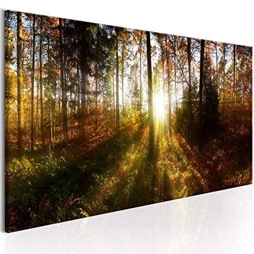 murando Akustikbild Wald Bilder Akustikschaum Hochleistungsschallabsorber Schallschutz Leinwand 1 tlg Wandbild Raumakustik Schalldämmung Waldlandschaft Natur Panorama c-B-0173-b-a von B&D XXL