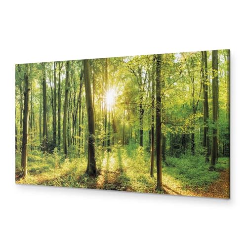 murando - Akustikbild Wald 135x45 cm 1 tlg Bilder Akustikschaum Schallschutz Kunst Akustikpaneele Wandpaneele Schalldämmung Wandbild Schallabsorber Waldlandschaft Natur Panorama c-B-0184-b-a von B&D XXL