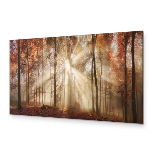 murando Akustikbild Wald Bilder Akustikschaum Hochleistungsschallabsorber Schallschutz Leinwand 1 tlg Wandbild Raumakustik Schalldämmung Waldlandschaft Natur Panorama c-B-0187-b-a von B&D XXL