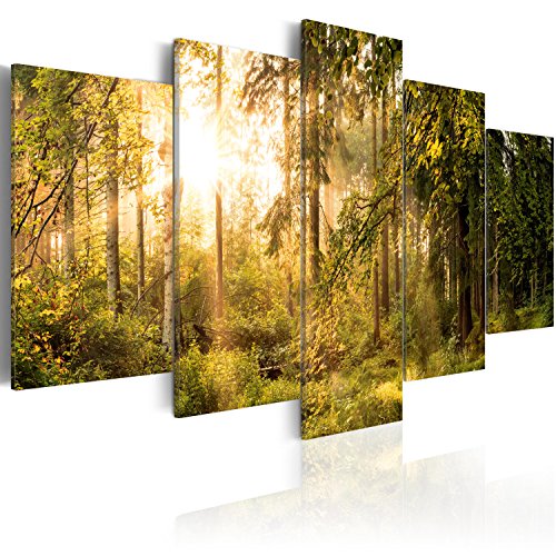 murando - Bilder 100x50 cm Vlies Leinwandbild 5 tlg Kunstdruck modern Wandbilder XXL Wanddekoration Design Wand Bild - Landschaft Wald Natur Bäume c-C-0033-b-o von B&D XXL
