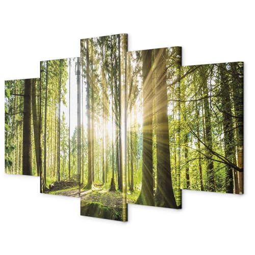 murando - Bilder 200x100 cm Vlies Leinwandbild 5 tlg Kunstdruck modern Wandbilder XXL Wanddekoration Design Wand Bild - Wald Natur Landschaft c-B-0098-b-n von B&D XXL