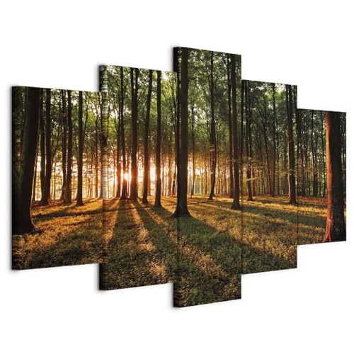 B&D XXL - Wandbilder XXL 200x100cm 5 tlg - Wand Deko Leinwand Bilder Groß Wanddeko Wohnzimmer Schlafzimmer Kunstdrucke - Wald Natur b-B-0027-b-o von Cuadros B&D XXL