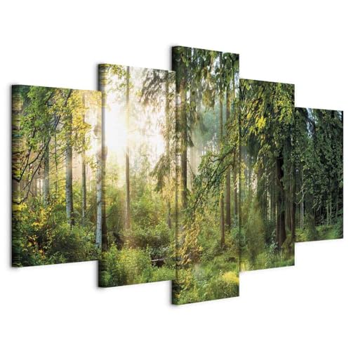 B&D XXL - Wandbilder XXL 225x112cm 5 tlg - Wand Deko Leinwand Bilder Groß Wanddeko Wohnzimmer Schlafzimmer Kunstdrucke - Landschaft Wald Natur Bäume c-C-0033-b-n B&D XXL - Wandbilder XXL 225x112cm 5 tlg - Wand Deko Leinwand Bilder Groß Wanddeko Wohnzimmer Schlafzimmer Kunstdrucke - Landschaft Wald Natur Bäume c-C-0033-b-n von B&D XXL