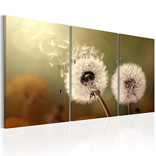 murando - Bilder Blumen 120x60 cm Vlies Leinwandbild 3 Teilig Kunstdruck modern Wandbilder XXL Wanddekoration Design Wand Bild - Pusteblume Natur Foto b-B-0117-b-e von B&D XXL