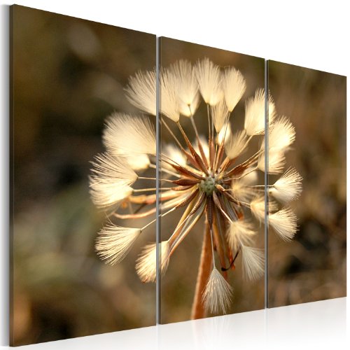 murando - Bilder Blumen 135x90 cm Vlies Leinwandbild 3 Teilig Kunstdruck modern Wandbilder XXL Wanddekoration Design Wand Bild - Pusteblume Natur Pflanzen 030210-76 von B&D XXL