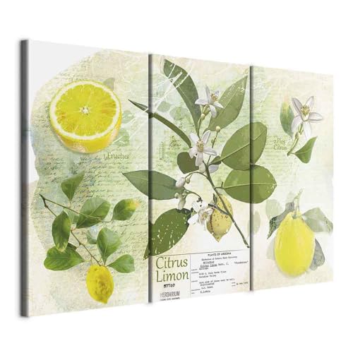 B&D XXL - Wandbilder XXL Küche 135x90 cm Vlies Leinwandbild 3 Teilig Kunstdruck modern Wandbilder XXL Wanddekoration Design Wand Bild - Zitrone Blumen Obst und Gemüse 020115-48 von B&D XXL