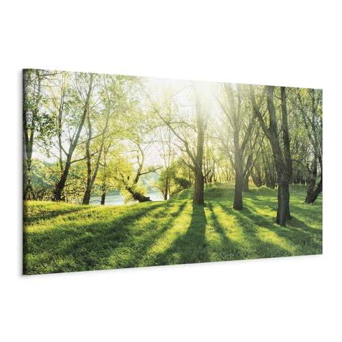 murando - Wandbilder XXL Landschaft 135x45 cm 1 tlg Wand Deko Leinwand Bilder Groß Wanddeko Wohnzimmer Schlafzimmer Kunstdrucke Panoramabild - Natur Bäume Wald Sonnenstrahlen c-B-0053-b-a von B&D XXL