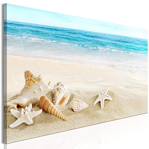 B&D XXL - Wandbilder XXL Meer Strand 120x40 cm 1 tlg - Wand Deko Vlies Leinwand Bilder Groß Wanddeko Wohnzimmer Schlafzimmer Kunstdrucke Panoramabild - Natur Muscheln c-B-0529-b-a von B&D XXL