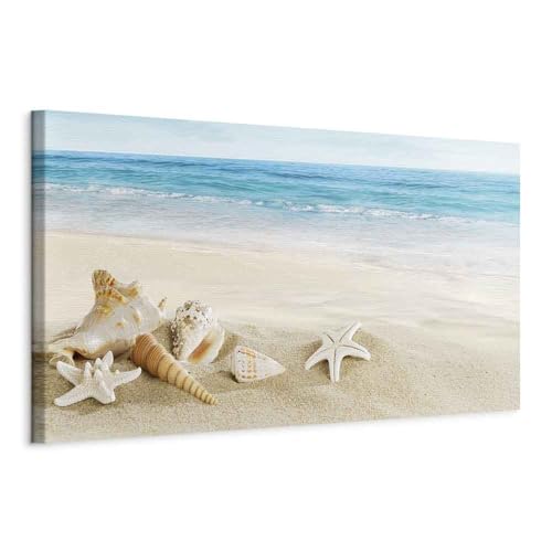 B&D XXL - Wandbilder XXL Meer Strand 90x30 cm 1 tlg - Wand Deko Vlies Leinwand Bilder Groß Wanddeko Wohnzimmer Schlafzimmer Kunstdrucke Panoramabild - Natur Muscheln c-B-0529-b-a von B&D XXL
