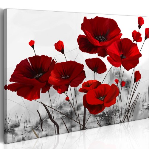 murando - Bilder Mohn 67x45 cm Vlies Leinwandbild 1 tlg Kunstdruck modern Wandbilder XXL Wanddekoration Design Wand Bild - Blumen rot grau 0107-12 von B&D XXL