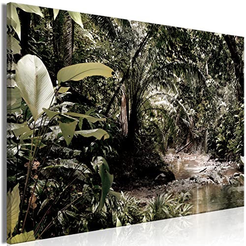 murando - Bilder Natur 120x80 cm Leinwandbild 1 tlg Kunstdruck modern Wanbilder XXL Wanddekoration Design Wand Bild - tropische Landschaft Dschungel c-C-0506-b-a von B&D XXL