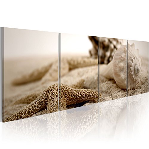 murando - Bilder Natur 160x60 cm Vlies Leinwandbild 4 Teilig Kunstdruck modern Wandbilder XXL Wanddekoration Design Wand Bild - Strand Muscheln Seestern 030212-62 von B&D XXL