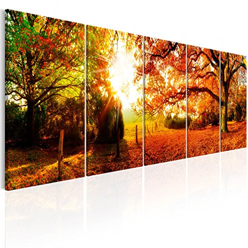 murando - Bilder Wald 100x40 cm Vlies Leinwandbild 5 tlg Kunstdruck modern Wandbilder XXL Wanddekoration Design Wand Bild - Waldlandschaft Natur Panorama Baum c-B-0287-b-m von B&D XXL