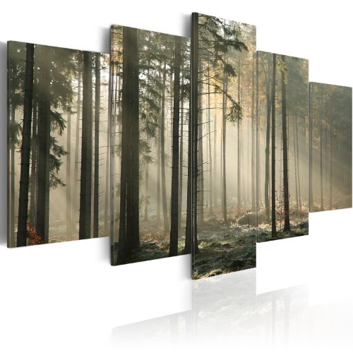 murando - Bilder Wald 100x50 cm Vlies Leinwandbild 5 tlg Kunstdruck modern Wandbilder XXL Wanddekoration Design Wand Bild - Nebel Bäume Waldlandschaft Panorama 030212-42 von B&D XXL