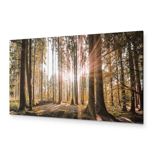 murando - Bilder Wald 120x40 cm Vlies Leinwandbild 1 tlg Kunstdruck modern Wandbilder XXL Wanddekoration Design Wand Bild Panoramabild - Waldlandschaft Natur Panorama Baum von B&D XXL