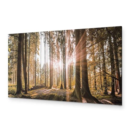 B&D XXL - Wandbilder XXL Wald 120x40 cm 1 tlg - Wand Deko Vlies Leinwand Bilder Groß Wanddeko Wohnzimmer Schlafzimmer Kunstdrucke Panoramabild - Waldlandschaft Natur Panorama Baum von B&D XXL