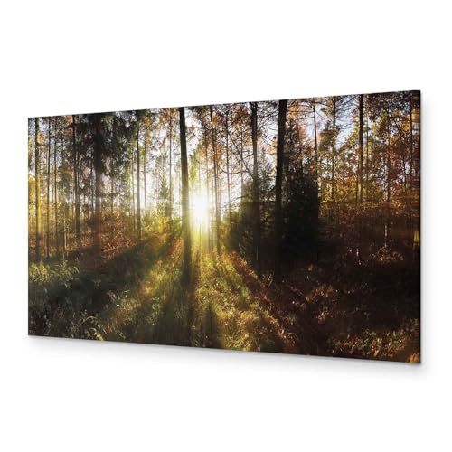 murando - Bilder Wald 120x40 cm Vlies Leinwandbild 1 tlg Kunstdruck modern Wandbilder XXL Wanddekoration Design Wand Bild Panoramabild - Waldlandschaft Natur Panorama Baum von B&D XXL