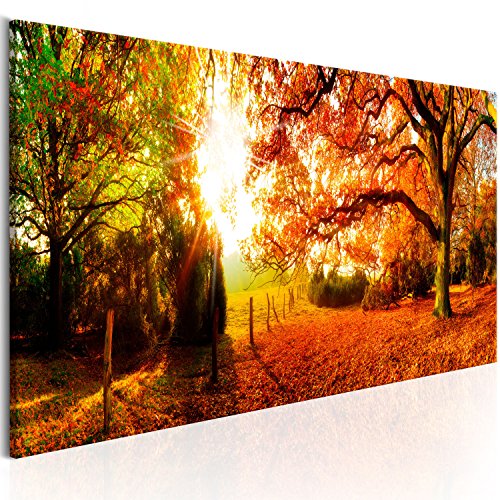 murando - Bilder Wald 135x45 cm Vlies Leinwandbild 1 tlg Kunstdruck modern Wandbilder XXL Wanddekoration Design Wand Bild Panoramabild - Waldlandschaft Natur Panorama Baum Herbst Baum von B&D XXL