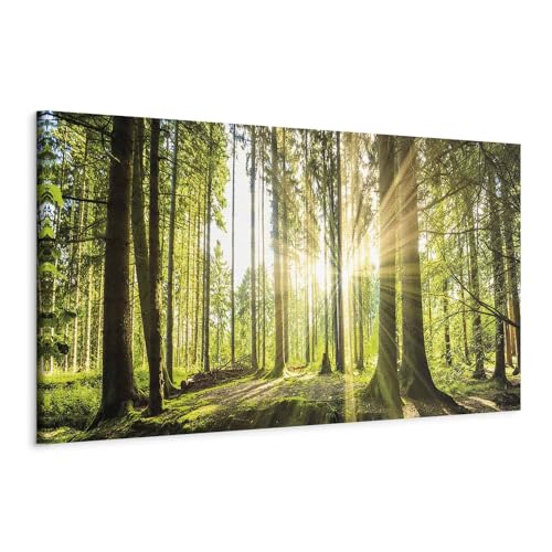 murando - Wandbilder XXL Wald 135x45 cm 1 tlg Wand Deko Leinwand Bilder Groß Wanddeko Wohnzimmer Schlafzimmer Kunstdrucke Panoramabild - Waldlandschaft Natur Bäume Sonnenaufgang c-B-0077-b-b von B&D XXL