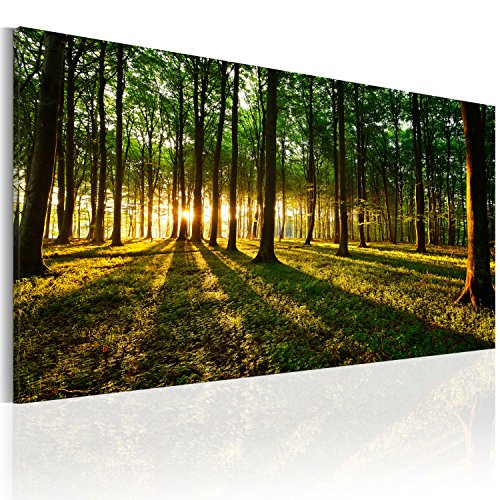 murando - Bilder Wald 140x70 cm Vlies Leinwandbild 1 tlg Kunstdruck modern Wandbilder XXL Wanddekoration Design Wand Bild - Landschaft Natur Baum grün c-B-0057-b-a von B&D XXL