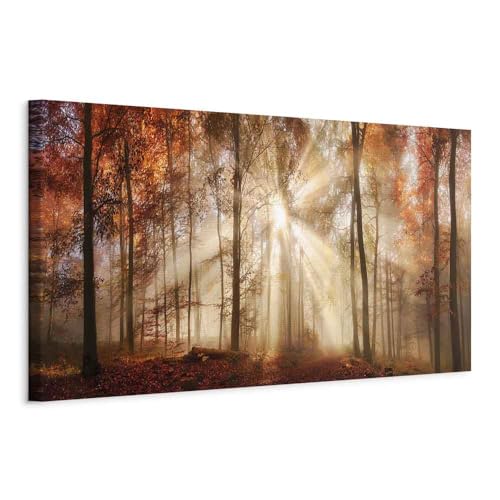 B&D XXL - Wandbilder XXL Wald 150x50 cm 1 tlg - Wand Deko Vlies Leinwand Bilder Groß Wanddeko Wohnzimmer Schlafzimmer Kunstdrucke Panoramabild - Waldlandschaft Natur Panorama Baum B&D XXL - Wandbilder XXL Wald 150x50 cm 1 tlg - Wand Deko Vlies Leinwand Bilder Groß Wanddeko Wohnzimmer Schlafzimmer Kunstdrucke Panoramabild - Waldlandschaft Natur Panorama Baum von B&D XXL