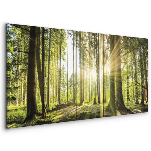 murando - Wandbilder XXL Wald 200x80 cm 5 tlg Wand Deko Leinwand Bilder Groß Wanddeko Wohnzimmer Schlafzimmer Kunstdrucke Panoramabild - Waldlandschaft Natur Bäume Sonnenaufgang c-C-0177-b-n von B&D XXL