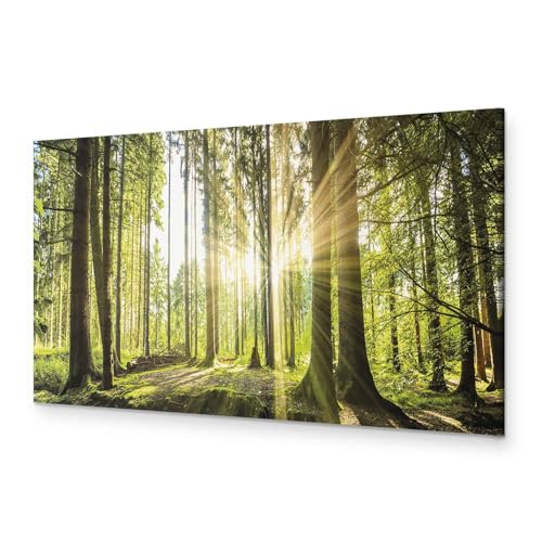 murando - Wandbilder XXL Wald 90x30 cm 1 tlg Wand Deko Leinwand Bilder Groß Wanddeko Wohnzimmer Schlafzimmer Kunstdrucke Panoramabild - Waldlandschaft Natur Bäume Sonnenaufgang c-B-0077-b-b von B&D XXL