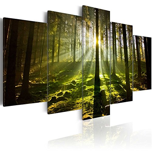 murando - Bilder Waldlandschaft 100x50 cm Vlies Leinwandbild 5 tlg Kunstdruck modern Wandbilder XXL Wanddekoration Design Wand Bild - Natur Sonne Bäume 030213-34 von B&D XXL