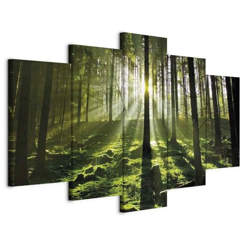 B&D XXL - Wandbilder XXL Waldlandschaft 150x75cm 5 tlg - Wand Deko Leinwand Bilder Groß Wanddeko Wohnzimmer Schlafzimmer Kunstdrucke - Natur Sonne Bäume 030213-32 B&D XXL - Wandbilder XXL Waldlandschaft 150x75cm 5 tlg - Wand Deko Leinwand Bilder Groß Wanddeko Wohnzimmer Schlafzimmer Kunstdrucke - Natur Sonne Bäume 030213-32 von B&D XXL
