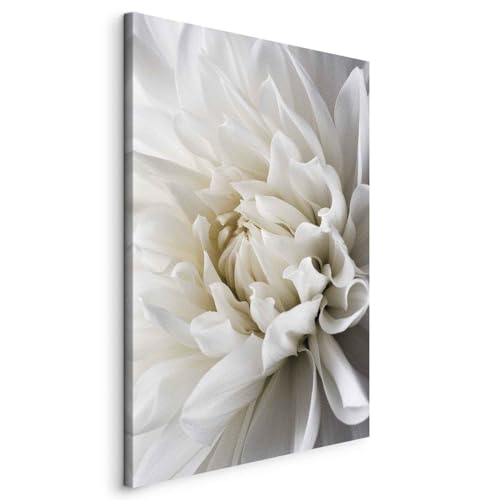 B&D XXL - Wandbilder weiße Blume 60x90 cm 1 tlg - Wand Deko Vlies Leinwand Bilder Groß Wanddeko Wohnzimmer Schlafzimmer Kunstdrucke - Natur Pflanzenmotiv Panorama b-B-0112-b-a B&D XXL - Wandbilder weiße Blume 60x90 cm 1 tlg - Wand Deko Vlies Leinwand Bilder Groß Wanddeko Wohnzimmer Schlafzimmer Kunstdrucke - Natur Pflanzenmotiv Panorama b-B-0112-b-a von Cuadros B&D XXL