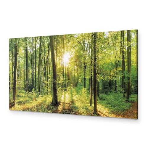 B&D XXL - Handart Wald Kunstdruck auf Leinwand 120x40 cm 1 tlg Groß Kunstbilder wie Handgemalte Wandbilder XXL mit Acrylgel beschichtet Wand Bilder mit Struktur Natur Panorama c-B-0184-b-a B&D XXL - Handart Wald Kunstdruck auf Leinwand 120x40 cm 1 tlg Groß Kunstbilder wie Handgemalte Wandbilder XXL mit Acrylgel beschichtet Wand Bilder mit Struktur Natur Panorama c-B-0184-b-a von B&D XXL