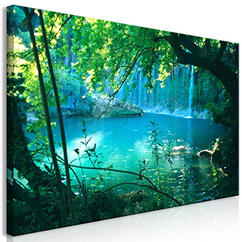 murando Wandbild Mega XXXL Natur Einteiliger XXL-Format Kunstdruck zur Selbstmontage Leinwandbilder moderne Bilder DIY Wanddekoration Wohnung Deko Wasserfall Landschaft von B&D XXL