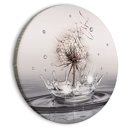 B&D XXL - runde Bilder Pusteblume 40x40 cm Leinwandbild 1 tlg Kunstdruck modern Wandbilder XXL Wanddekoration Design Wand Bild Natur Wassertropfen Blumen Löwenzahn b-C-10195-bc-a von B&D XXL