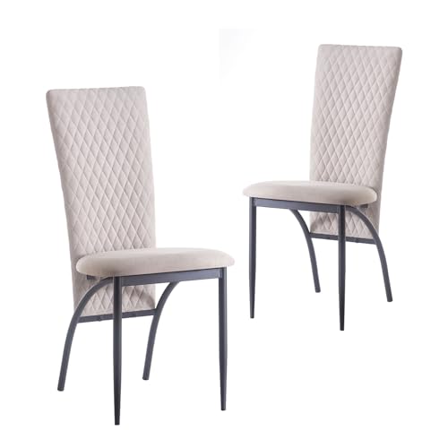 B&D home Esszimmerstühle THADDÄUS im 2er Set | Polsterstühle & Küchenstühle für Esszimmer, Wohnzimmer & Büro | Hochlehner Stühle mit bequemem Sitz | Modernes Design in Grau | Stabil & pflegeleicht B&D home Esszimmerstühle THADDÄUS im 2er Set | Polsterstühle & Küchenstühle für Esszimmer, Wohnzimmer & Büro | Hochlehner Stühle mit bequemem Sitz | Modernes Design in Grau | Stabil & pflegeleicht von B&D home