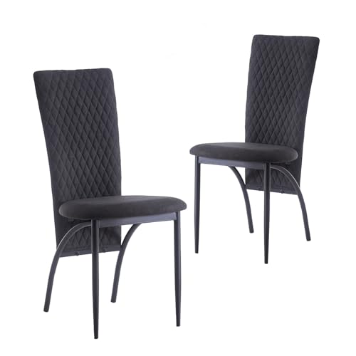 B&D home Esszimmerstühle THADDÄUS im 2er Set | Polsterstühle & Küchenstühle für Esszimmer, Wohnzimmer & Büro | Hochlehner Stühle mit bequemem Sitz | Modernes Design in Anthrazit von B&D home