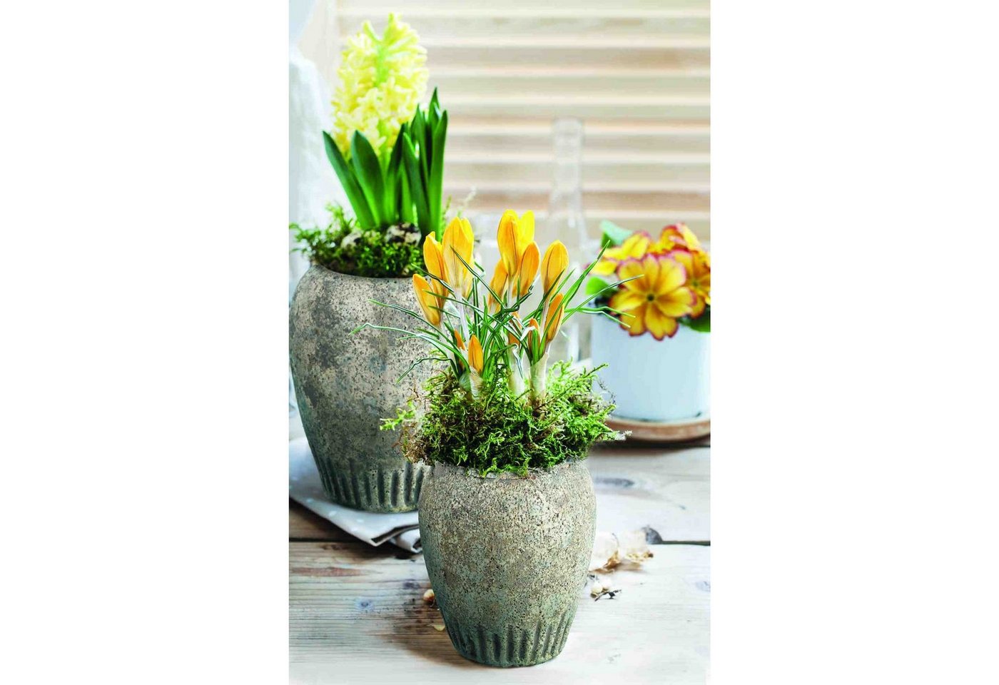 B&S Pflanzkübel Blumenkübel Keramik Vase Amphore Antik Shabby Steinoptik H 23 cm Rund von B&S