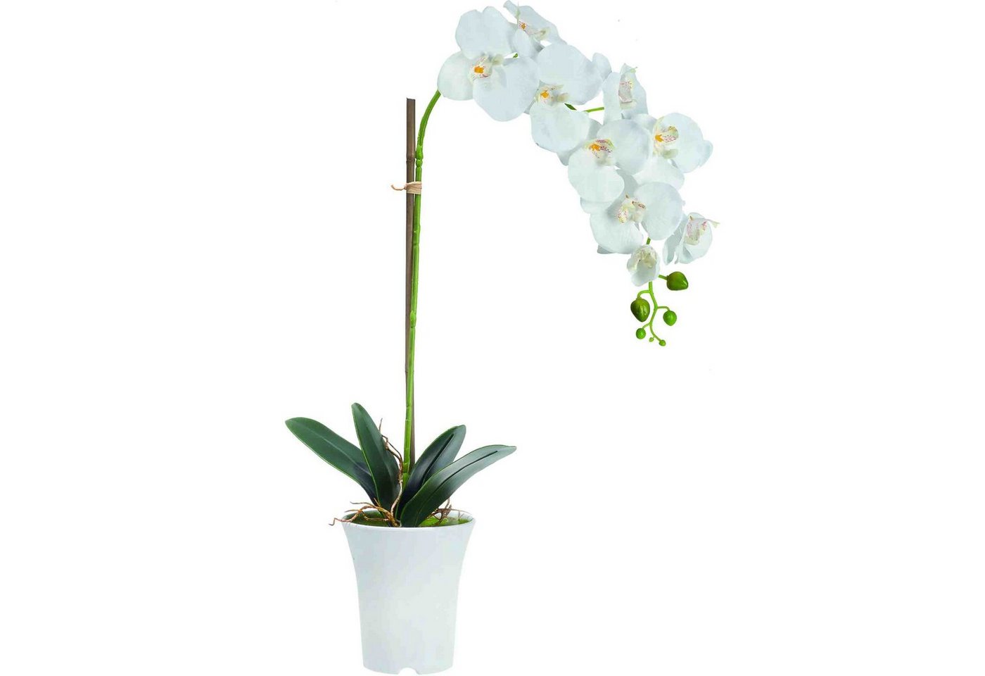 Kunstpflanze Kunstblume Dekopflanze Orchidee 70 cm hoch Orchidee, B&S, Höhe 70 cm von B&S