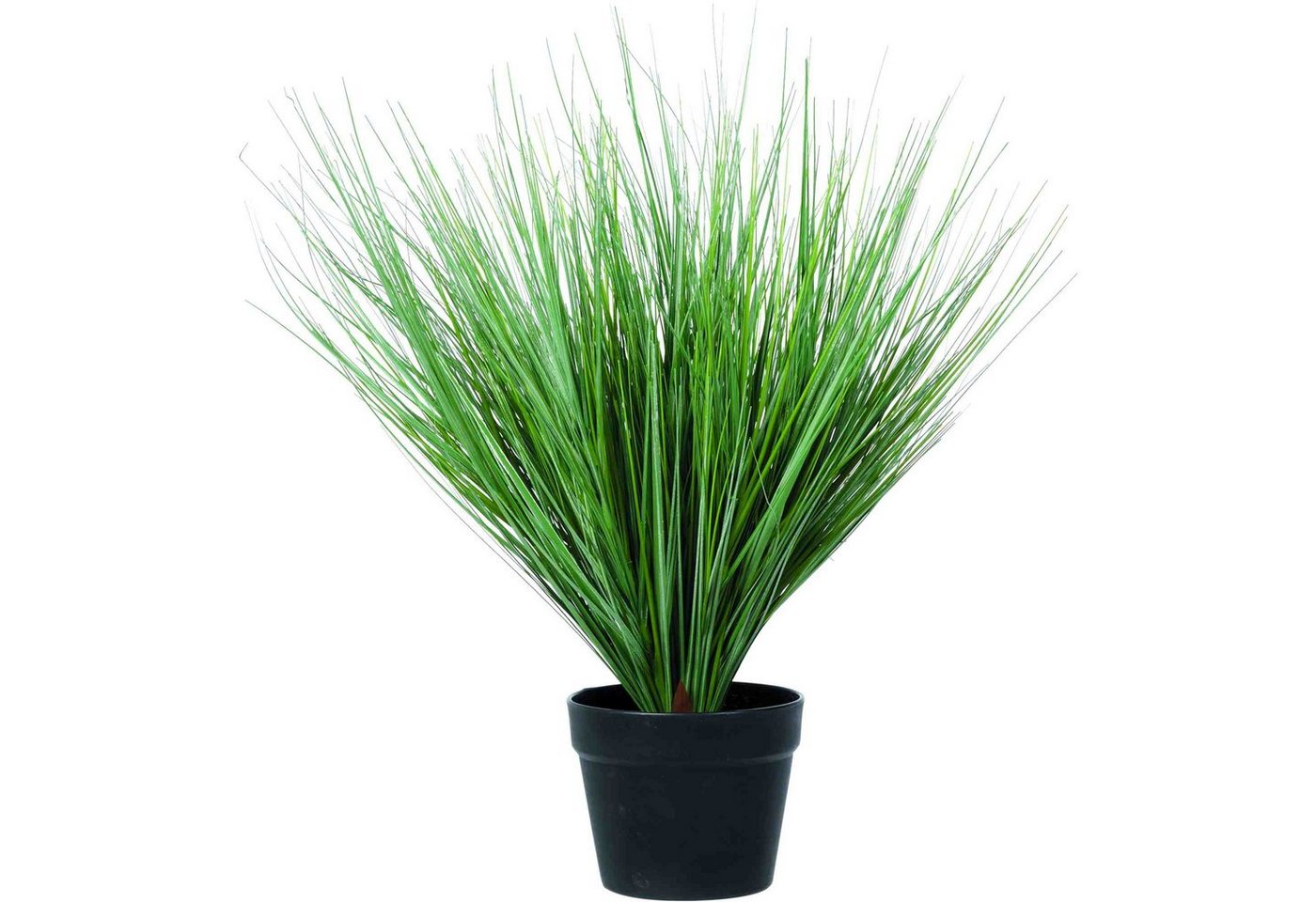 Kunstpflanze Kunstgewächs Deko Gras 60 cm Gras, B&S, Höhe 60 cm Kunstpflanze Kunstgewächs Deko Gras 60 cm Gras, B&S, Höhe 60 cm von B&S