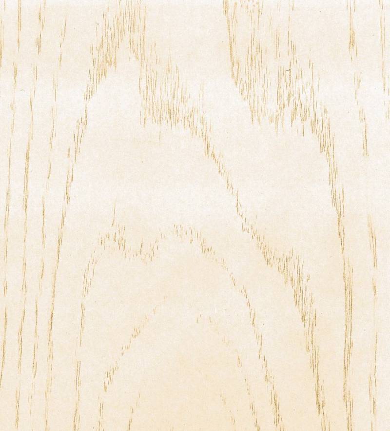 B.S. Bauprogramm Roundlinepaneele 120 x 25 cm, 10 mm, Esche weiß von B.S. Bauprogramm