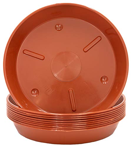 B2S BACK2SEASON 10 x Untersetzer Pflanzenteller Plastik Terracotta Garten Made in Germany 10er Set (Oben D=12 cm, unten 9,5 cm) von B2S BACK2SEASON