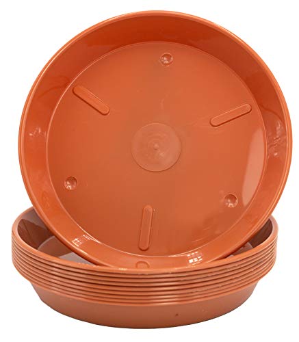 B2S BACK2SEASON 10 x Untersetzer Pflanzenteller Plastik Terracotta Garten Made in Germany 10er Set (D=16 cm) von B2S BACK2SEASON