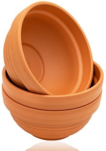 B2S BACK2SEASON Schale 3 Stück ohne Loch Blumentopf D=16,5 cm Made in Germany Terrakotta 3er Set von B2S BACK2SEASON