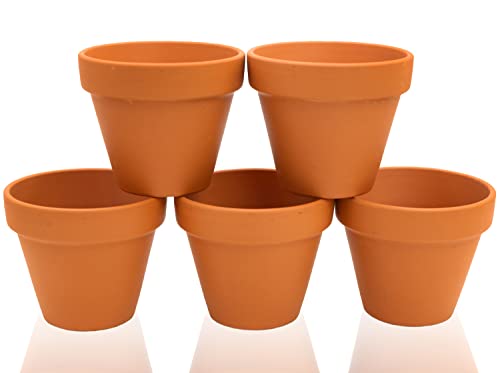B2S BACK2SEASON Tontöpfe 5 Stück mit Loch Blumentopf D=8 cm Made in Germany Terrakotta 5er Set von B2S BACK2SEASON